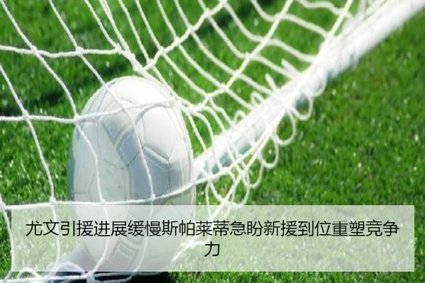 尤文引援进展缓慢斯帕莱蒂急盼新援到位重塑竞争力